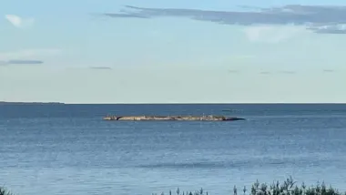 Utsikt Skräcklan i Vänersborg